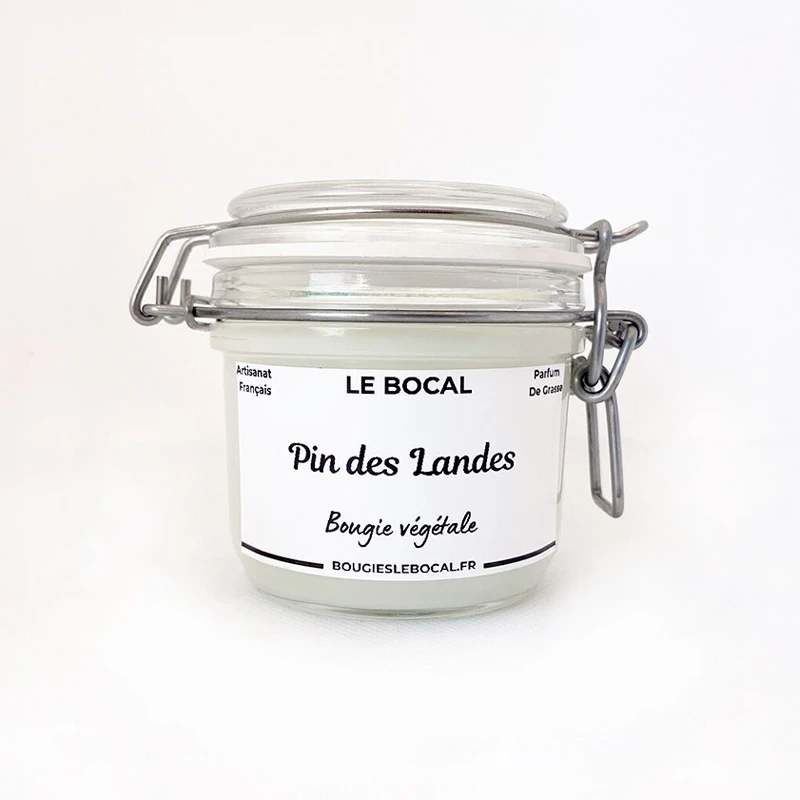 Pin des Landes