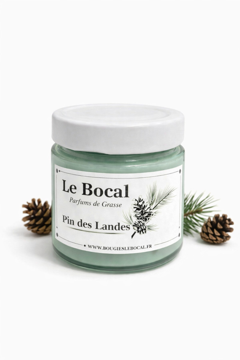 Pin des Landes
